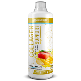Syntime Nutrition Collagen Suport 1000 ml Mango